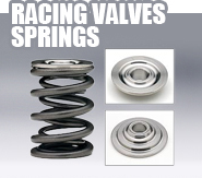 Racing Valves Springs