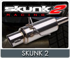 Skunk 2