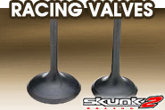 Skunk 2® - Racing Valves