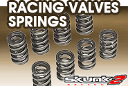 Skunk 2® - Racing Valves Springs
